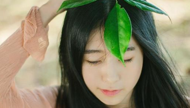 商务伴游、梦乡伴游网、商务旅游-高端商务伴游团队,专业服务覆盖全场景需求